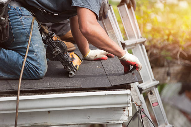 Best Roof Gutter Cleaning  in Utica, OH